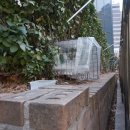 회현동주민센터 이미지