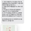 봉스(bongs) 네이버블로그