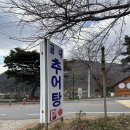 곰내추어탕 | 철마맛집 정관맛집 곰내추어탕 (어르신들이 많이 가시는 맛집)