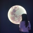 수원-0229 이미지