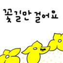 컴시스 이미지