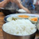원조할매국밥 티스토리