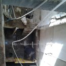 김지호치과의원 이미지