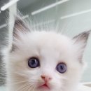 남구-037 이미지