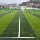 내손체육공원 잔디구장 이미지