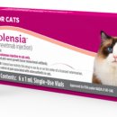 티어하임 동물병원 이미지