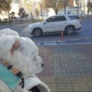 아이펫동물병원 이미지