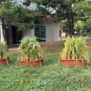 이모네한식부페 이미지