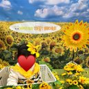 별이랑 놀자 | 세종 이마트 문화센터 자연놀이 아이젬 후기 (겨울학기)