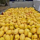 빈이네농장 이미지