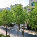 방배4동천주교회 이미지