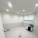 오늘도 힘차개 이미지