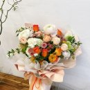 디자인새늘