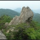 제 283차 제천 망덕봉 금수산(1016m)정기산행 이미지