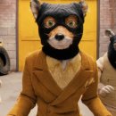 미스터(Mr.) 이미지