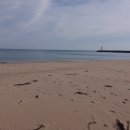 솔밭황토펜션 이미지