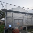 함덕흑돼지조약돌구이초원 이미지