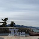 바다연 | 내돈내산 완도 맛집/완도 횟집 바다연 추천후기