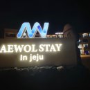 스테이 인 제주(stay in jeju) 이미지