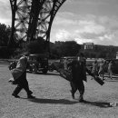 라벤더힐 이미지