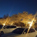 잇츠브로
