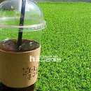 몽구네 애견유치원 이미지