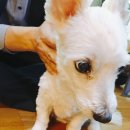 석진이네 이미지