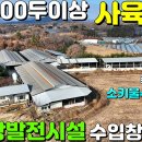 성주공인중개사사무소 티스토리