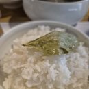 한국관 | [오토바이로 떠난 푸꾸옥 ⑦] 푸꾸옥 한식당 추천 VS 비추천｜솥 코리안 레스토랑, 한국관 솔직 후기