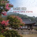 8월10일 法古創新 논산 three 선비의 고택 화려한 여름 인생사진, 여기서 찍자".. 이미지