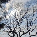 암산어린이공원 네이버블로그