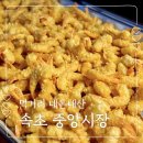 궁중해물 | 속초 중앙시장 먹거리 내돈내산 리스트 7가지 갑질어묵 닭강정 바삭튀밥
