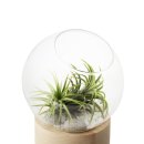 안산소공원 이미지