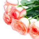 박경숙한의원 이미지