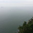 다누비 네이버블로그