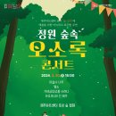 정원숲속 오소록 콘서트3 | [제주시] 제주아트센터, '정원 숲속 오소록 콘서트' 2회차 공연 개최