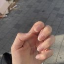 네일레브빈