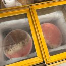 충주육전막국수 이미지