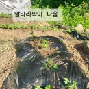 오뚜기 농장 네이버블로그