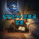 달빛추억 | 달빛천사 오르골 후기: 추억을 소환하는 정품 오르골의 감동