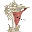 인싸짐 가좌점 이미지