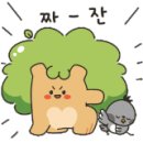 보그헤어 홍대거리점 이미지