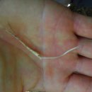 청대농장 이미지