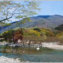 가야진사 이미지