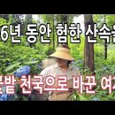 산을 호미 하나들고 지상낙원으로 바꾼 대단한 여장부 이미지