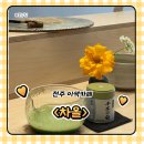 차올 | 전주 이색카페 <차올> 차쟁이들아 여긴 가야 한다, 찐이다