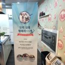 은쌤동물병원 이미지