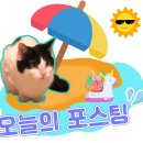 이디야커피울산모다