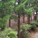 개인주택 이미지