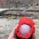 작소농장 이미지